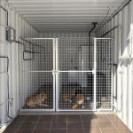 Shipping container for dogs